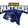 Odisha Panthers