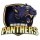 Mississauga Panthers